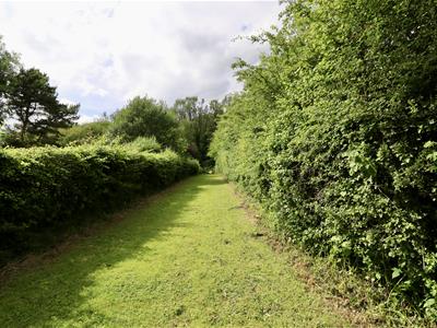 Picture 16